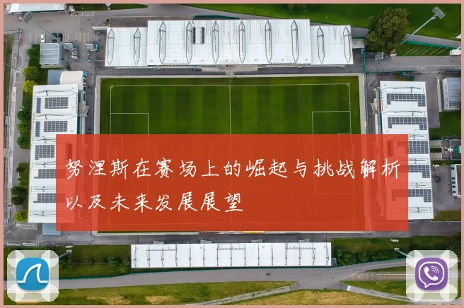努涅斯在赛场上的崛起与挑战解析以及未来发展展望