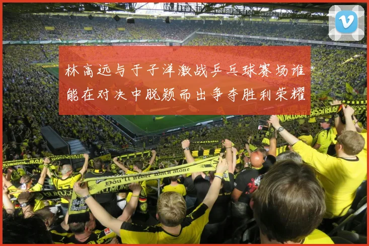 林高远与于子洋激战乒乓球赛场谁能在对决中脱颖而出争夺胜利荣耀