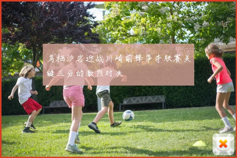 鸟栖沙岩迎战川崎前锋争夺联赛关键三分的激烈对决