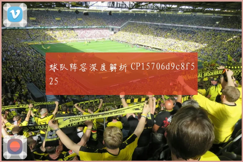 球队阵容深度解析 CP15706d9c8f525