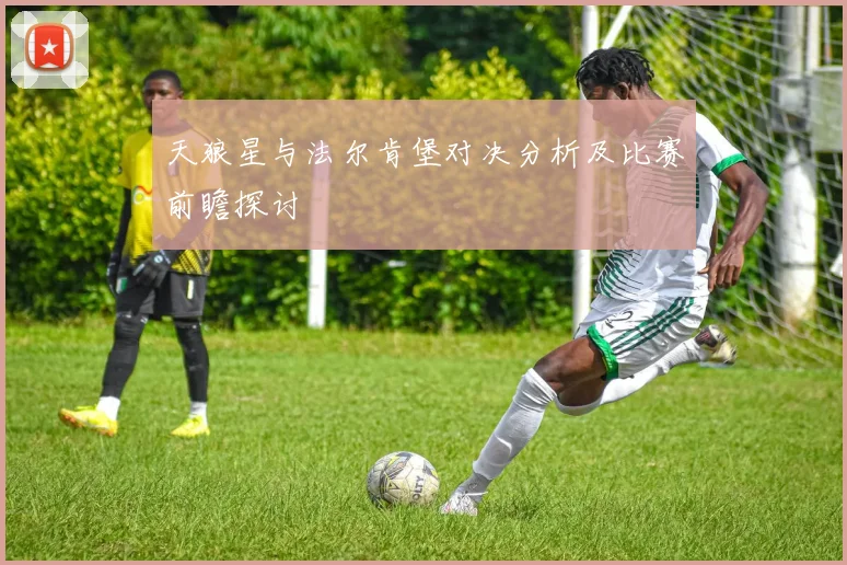 天狼星与法尔肯堡对决分析及比赛前瞻探讨